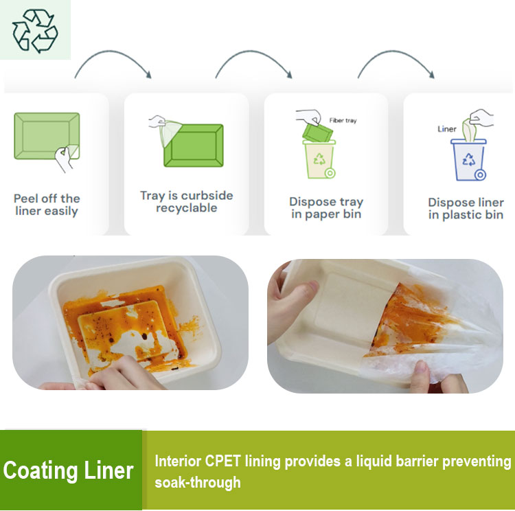 CPET Coating Meal Tray Biodegradable Sugarcane Bagasse Disposable Ready to Eat Meals Packaging
