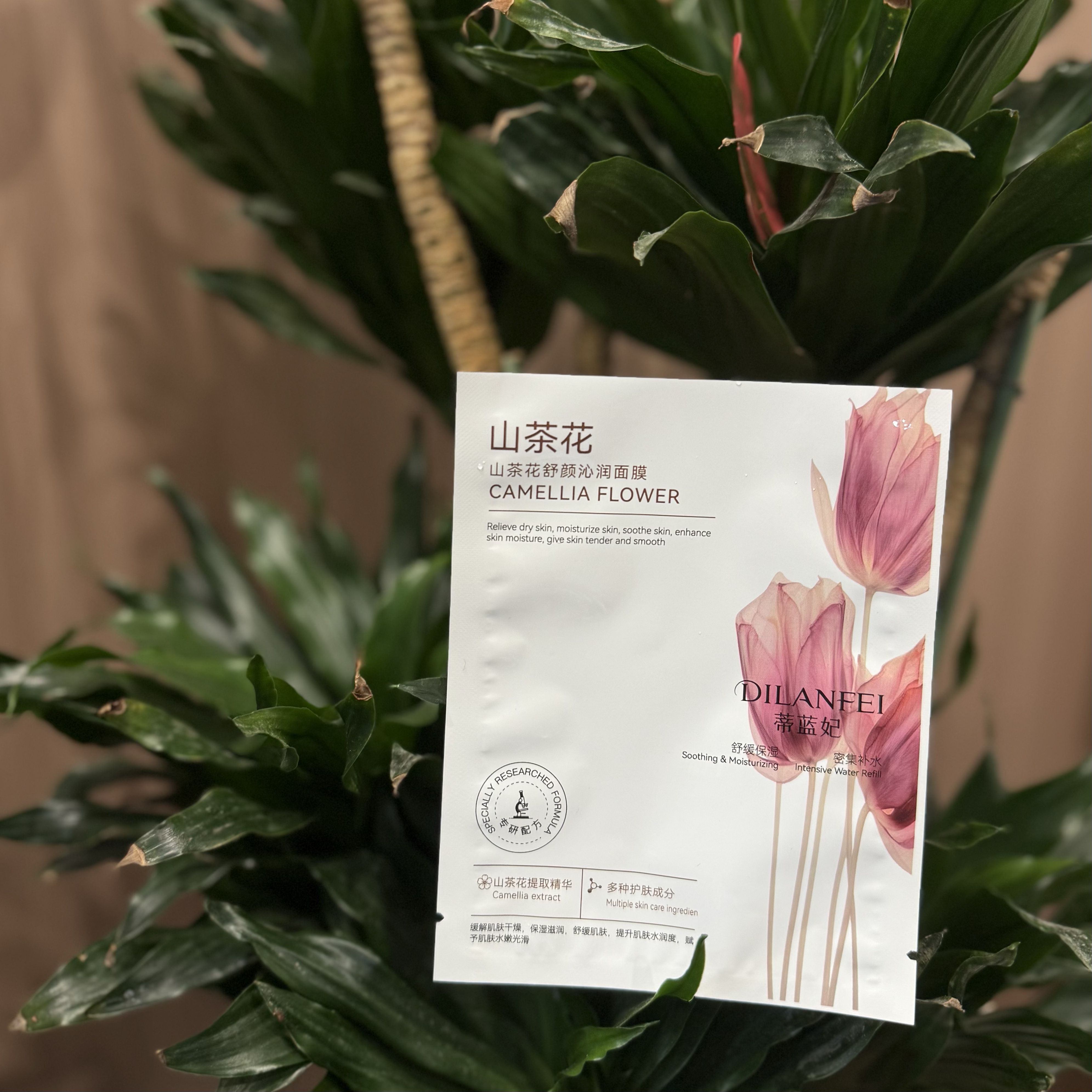 Face Mask Bags Custom Printed Heat-sealed Waterproof Plastic Packaging Bags for Face Masks Lotions and Other Skincare Products