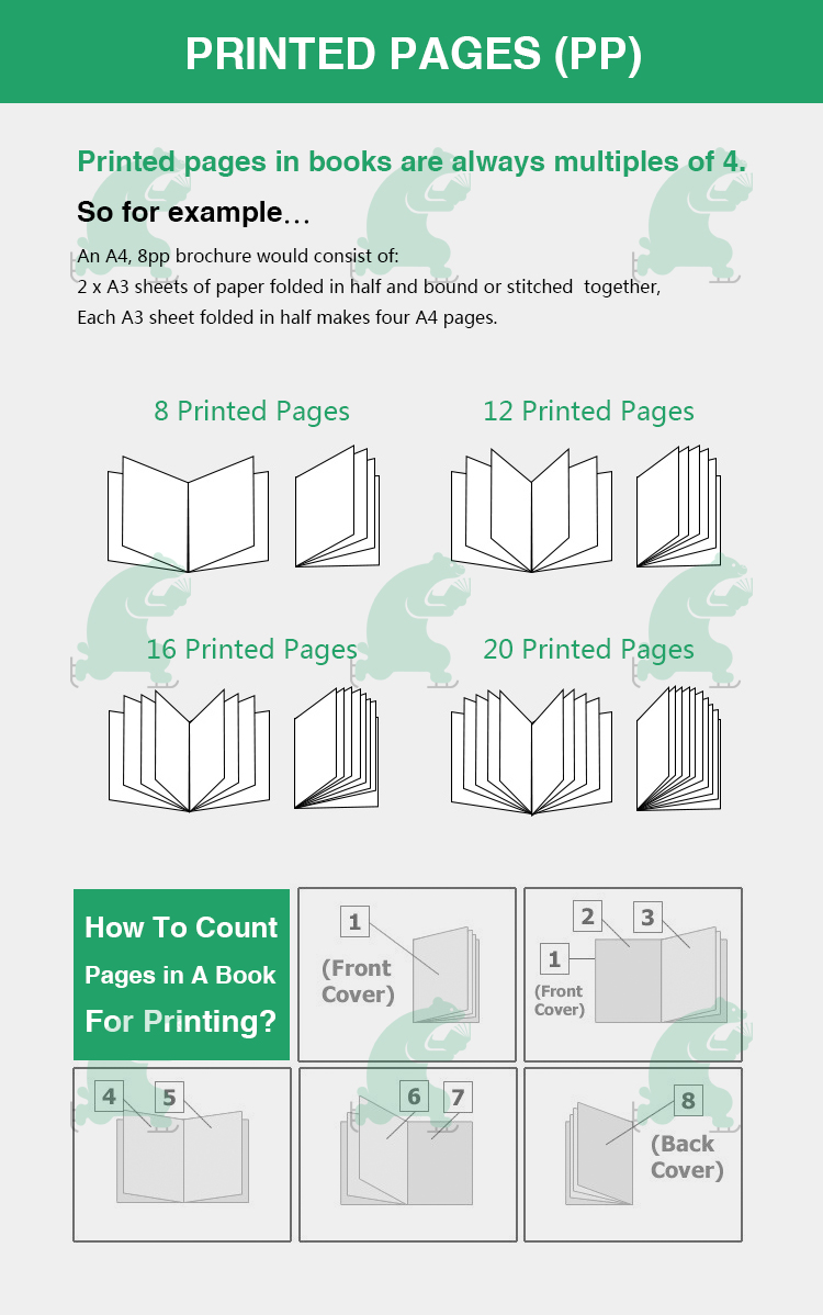 Packaging Graphic Layout Design Service