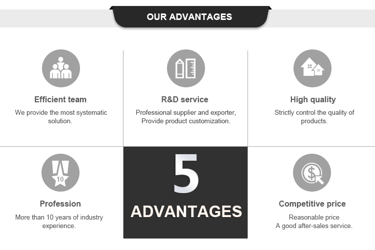 Our Advantages Infographic