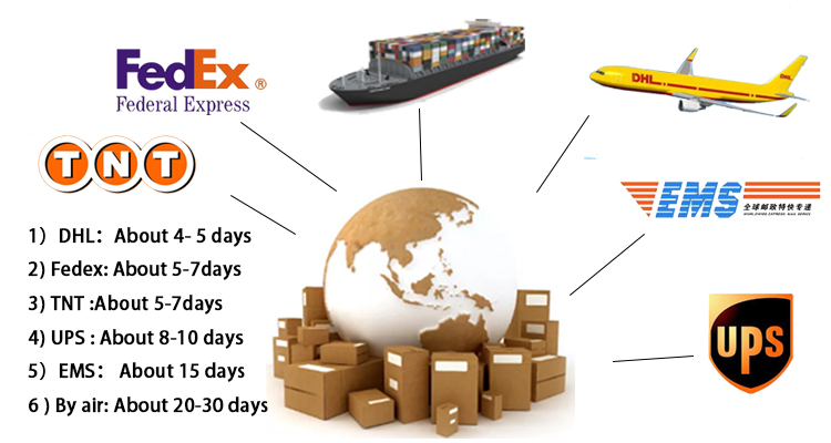 Logistics Shipment Ready