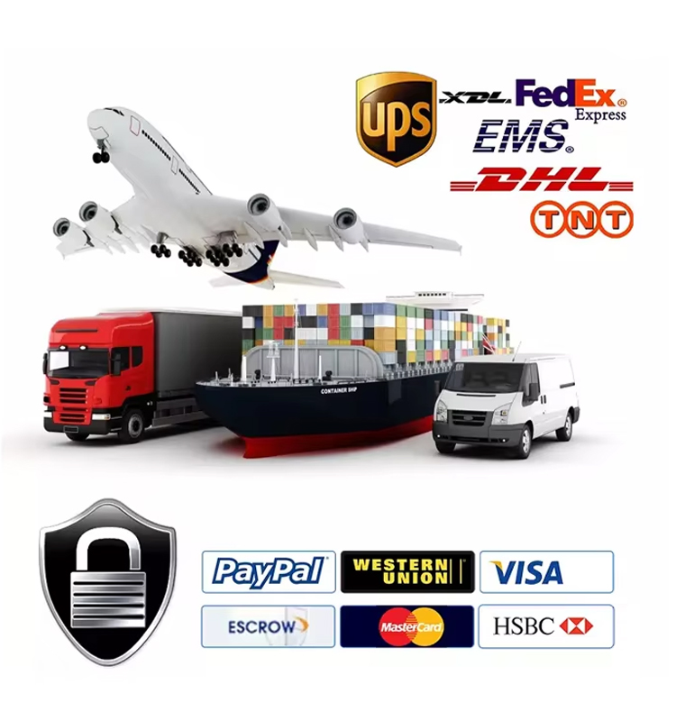 Shipping and Payment Options