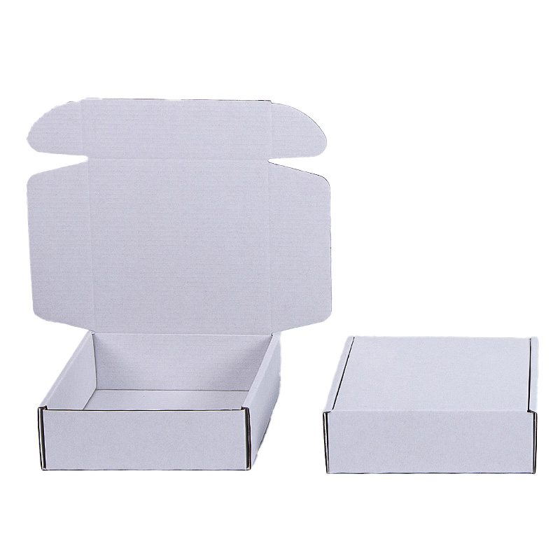 Packaging Style 1
