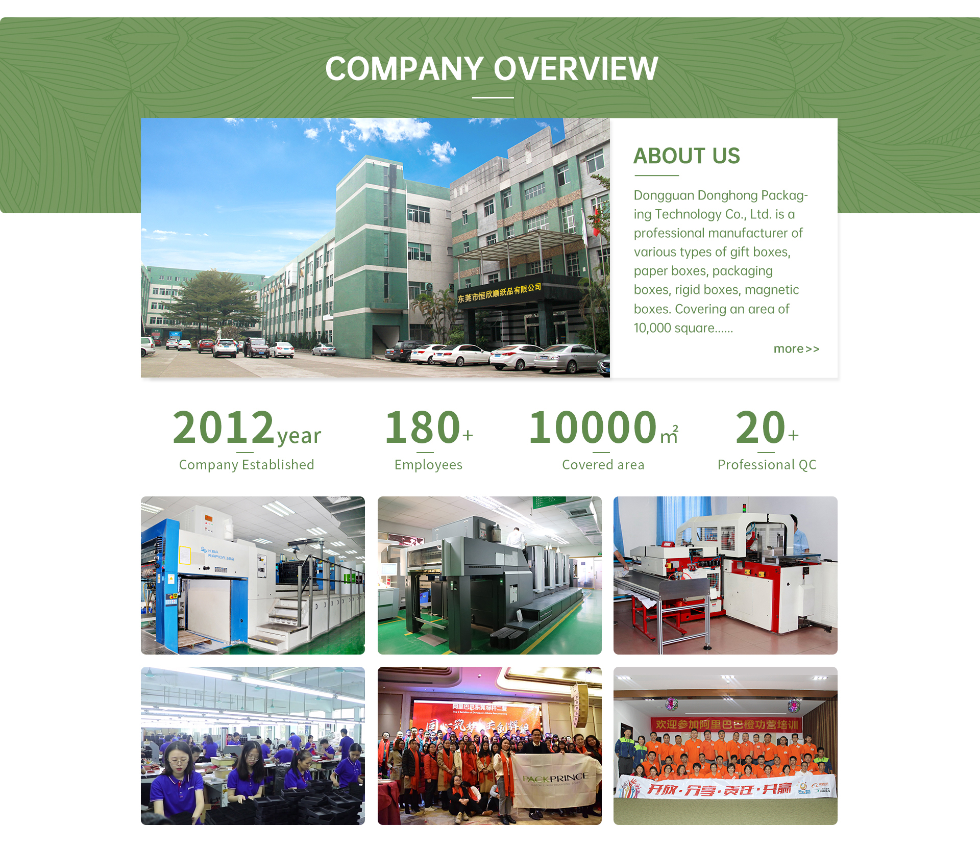 Company overview