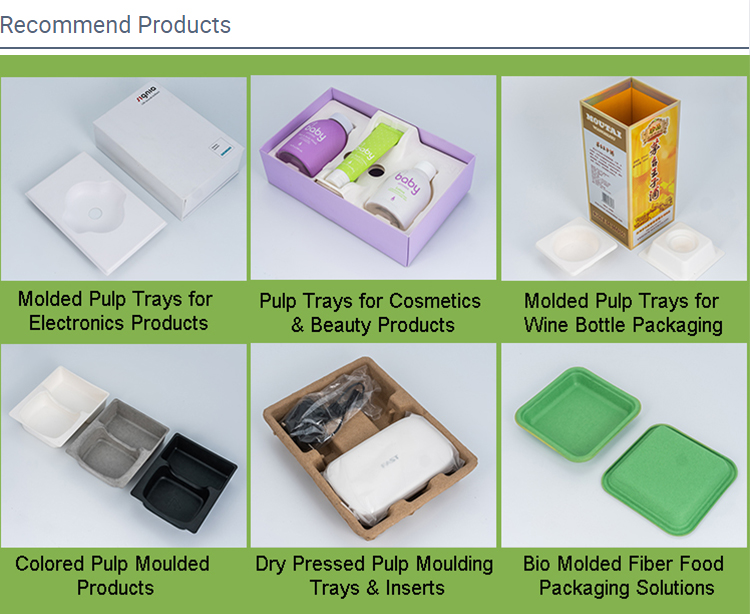 Eco-Friendly Molded Pulp Trays Options