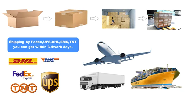 Packaging and Shipping Standard Box Setup