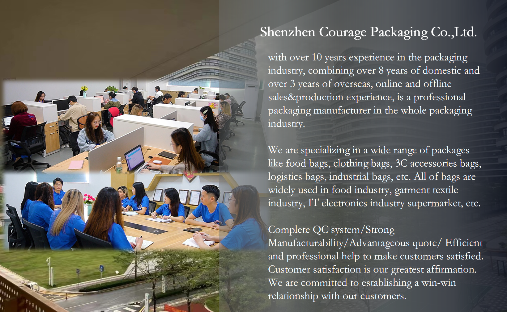Company Profile 1