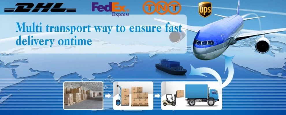 Shipping Logistics