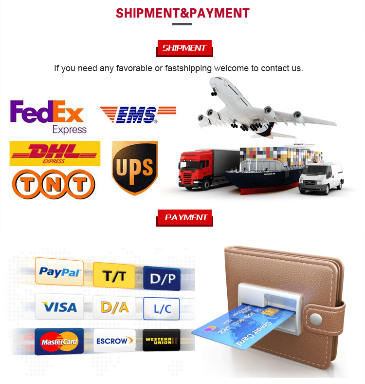 Shipment and Payment Terms