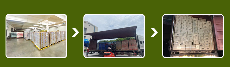 Shipping Details 1