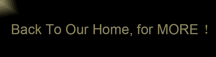 Inquiry banner design