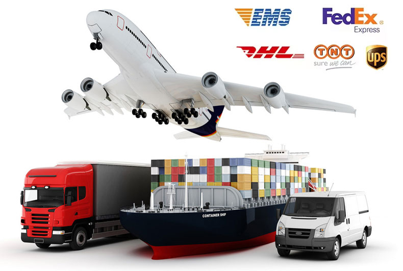 Shipping Logistics Details