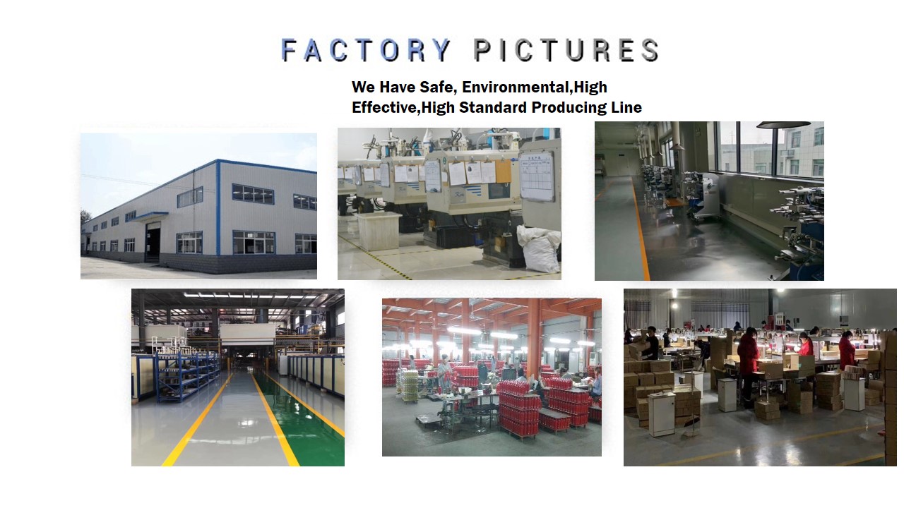 Company Profile 2