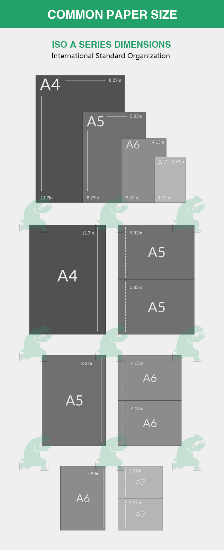 Packaging Graphic Layout Design Service