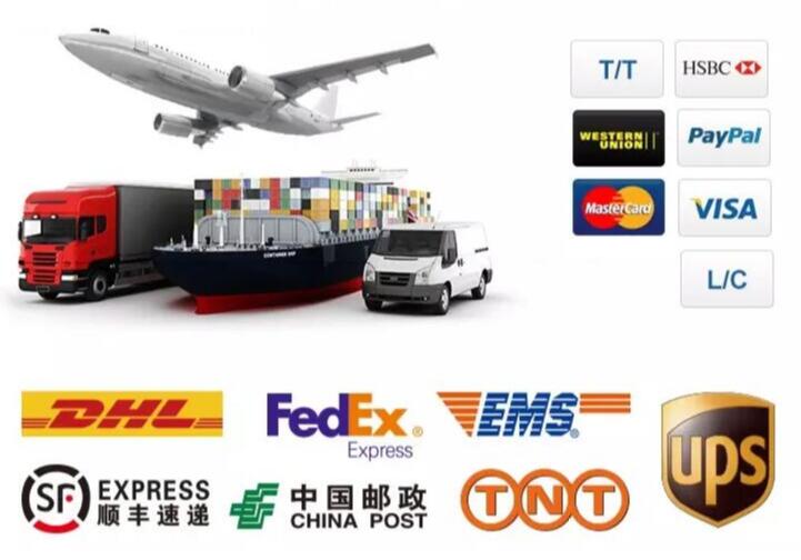 Shipping Logistics