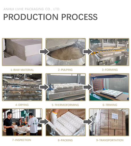 Product View 6