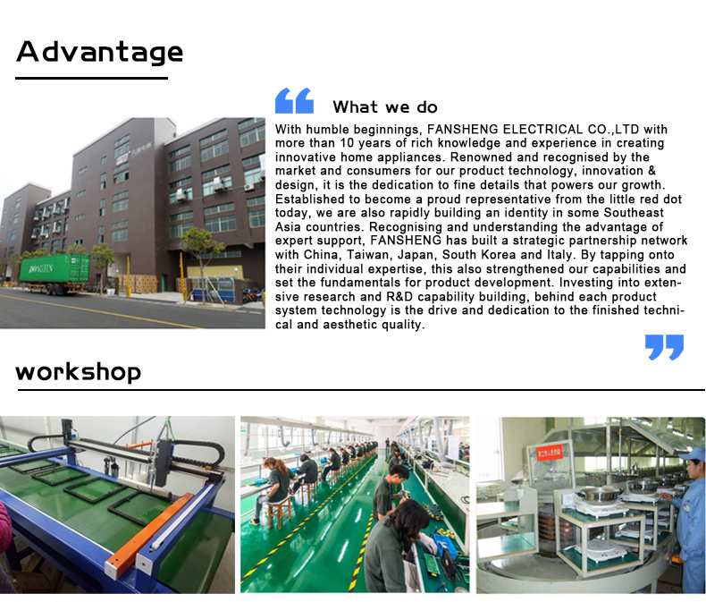 Induction Cooker Factory Workshop