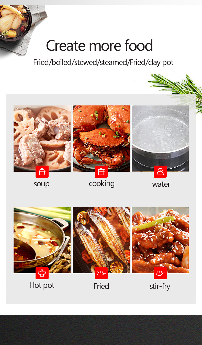 Multifunction induction cooker detail 9