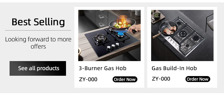 Built in Hob Electric Cooker Detail