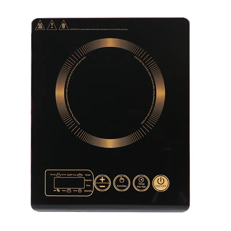 Induction Cooker Overview