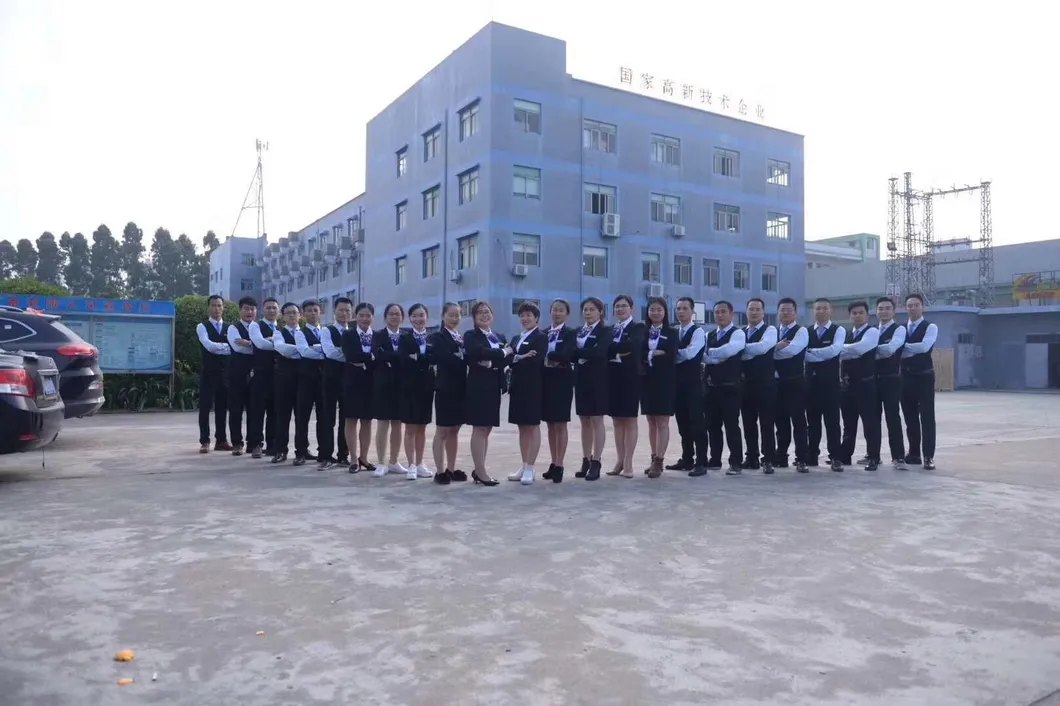 Sales Team
