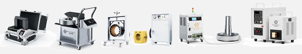 Other Induction Heater Models