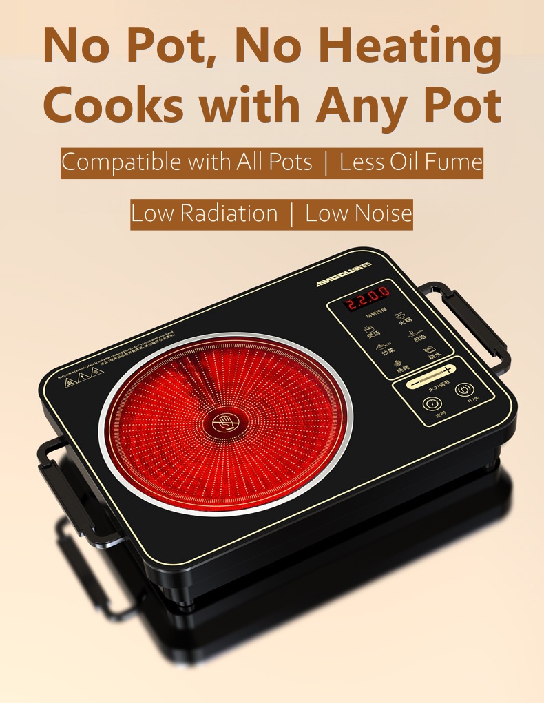 Induction Cooker Feature 1