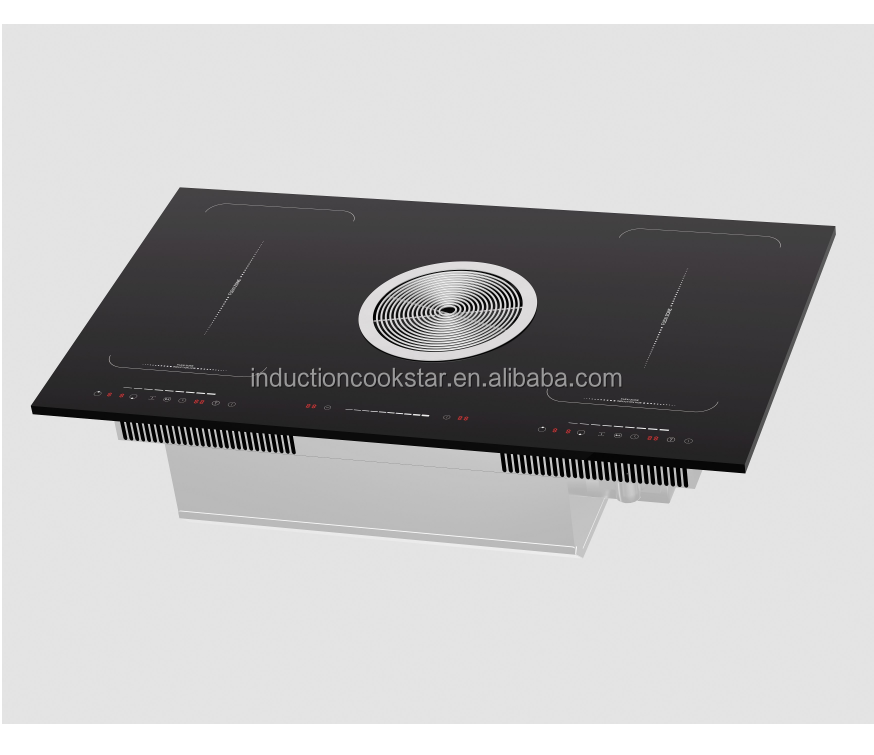 induction cooker model 1