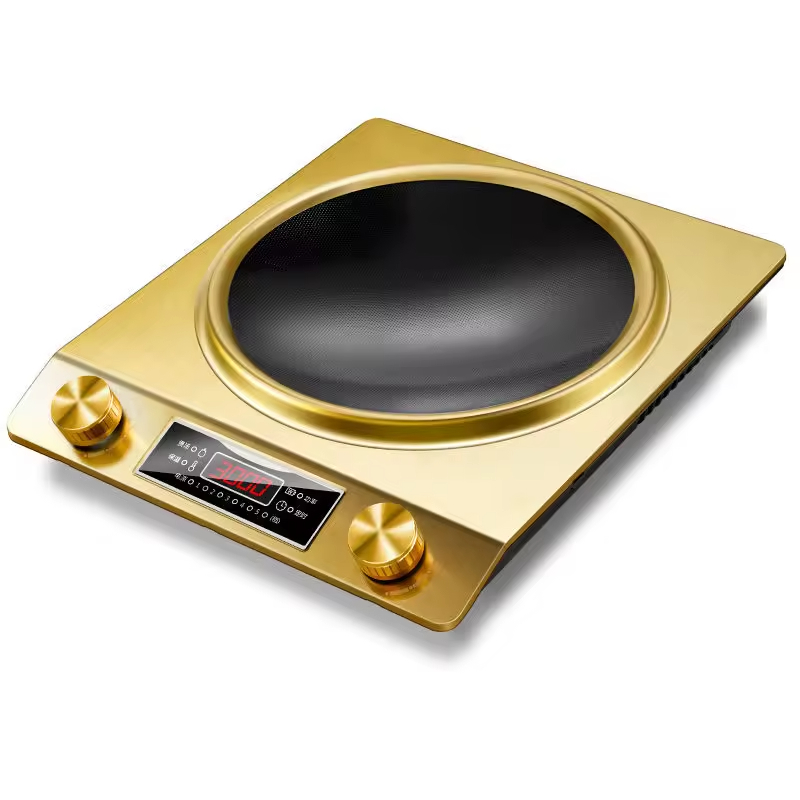 Induction Cooker Detail 3