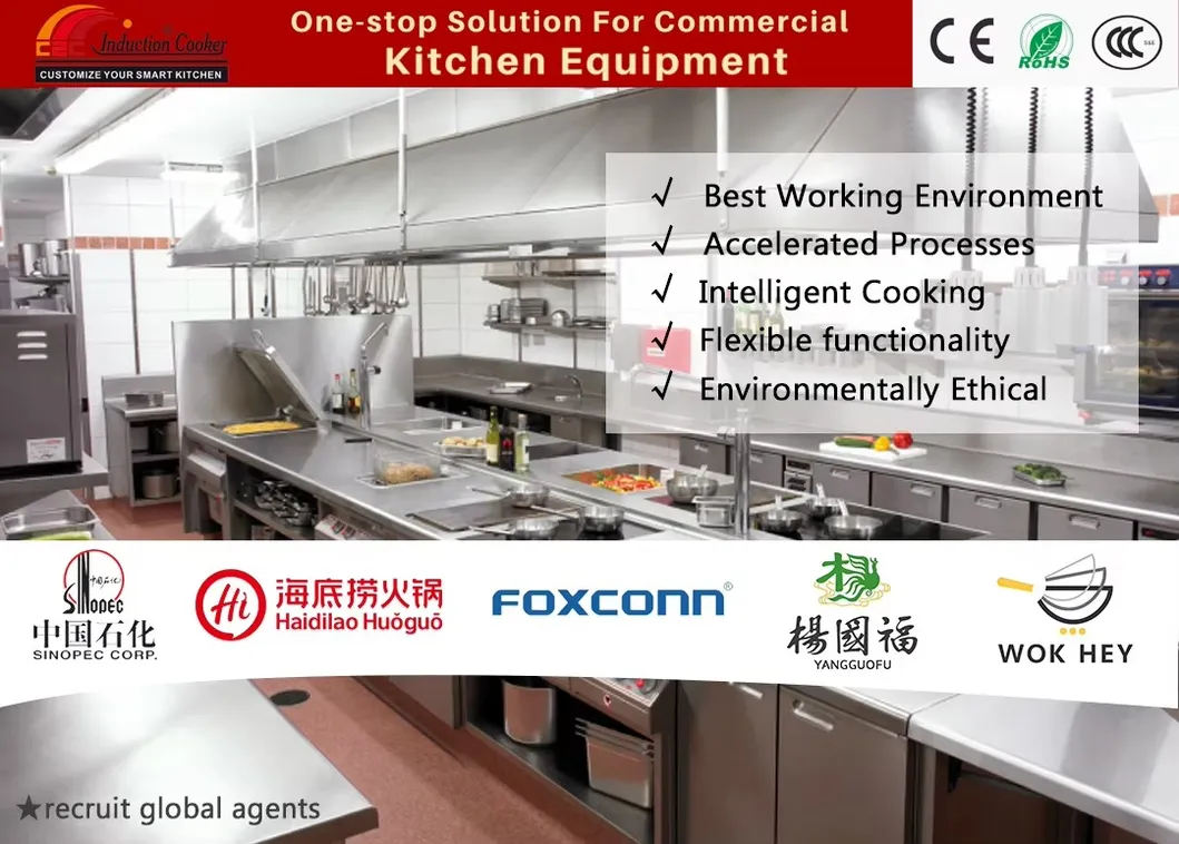 Commercial Kitchen Equipment Industrial Restaurant Hotel Catering Cooking Appliances