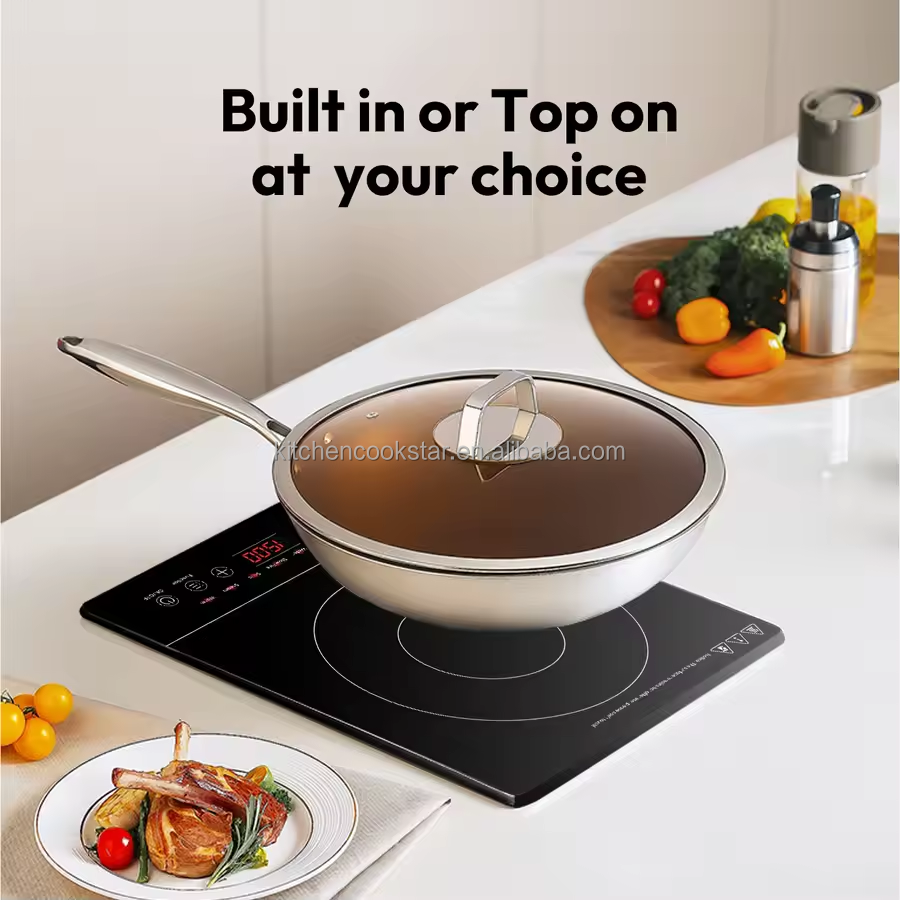 48V RV induction cooker application