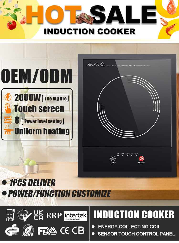 Induction Cooker Main Image