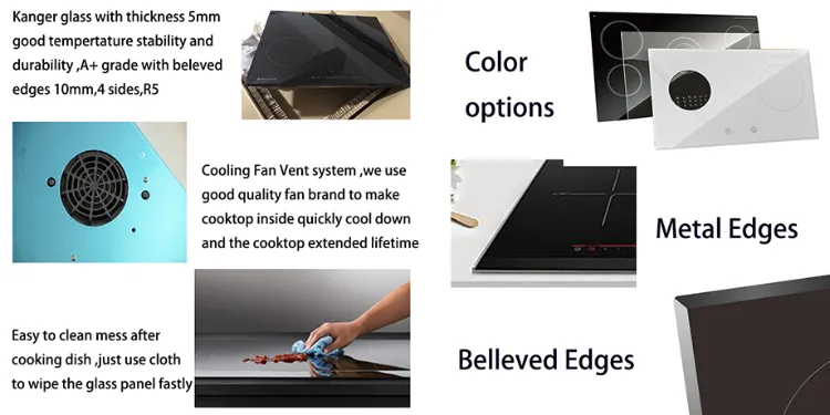 Built-in Hob Built-in Induction & Ceramic Hob Dual Zone Multi Cooker