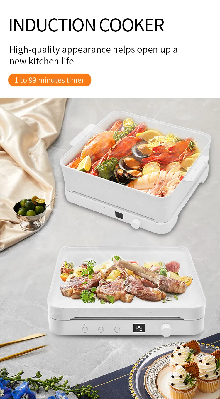 Premium Energy-Efficient Induction Cooker with Custom Temperature Control Smart Induction Cooker