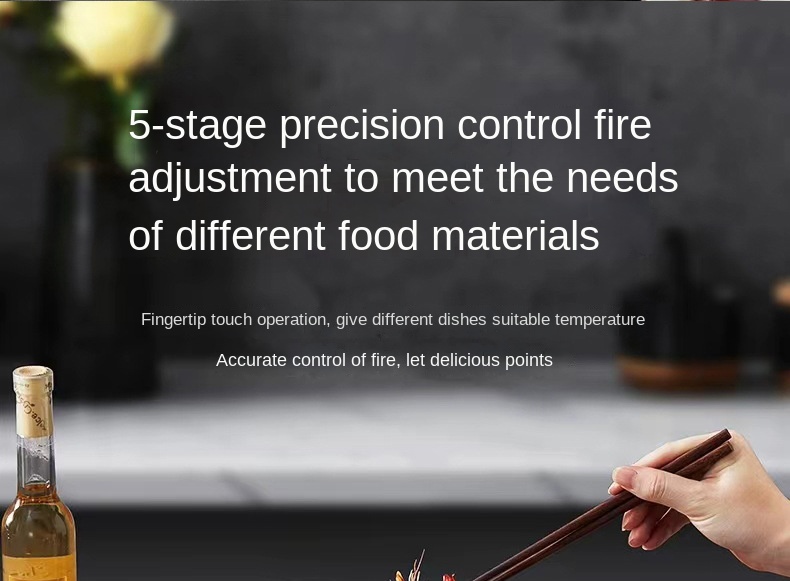 Induction Cooker Showcase 3