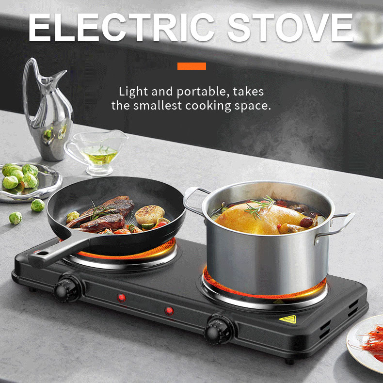 Portable Stainless Steel Electric Stove with Double Solid Hot Plate Cooking Top 1000W 220V Induction Cooker and 2 Burners
