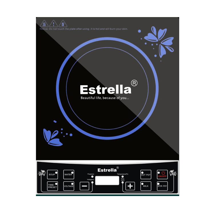 Induction Electric Cooker Overview