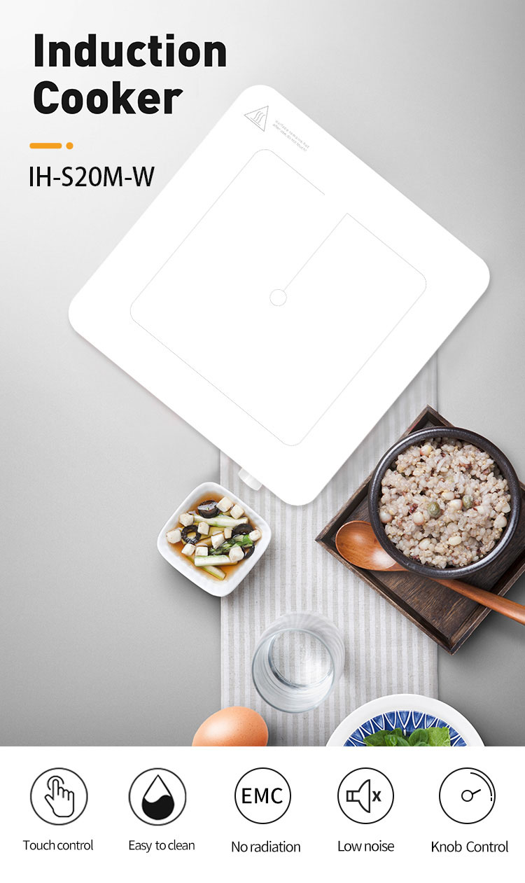 Induction Cooker Details 1