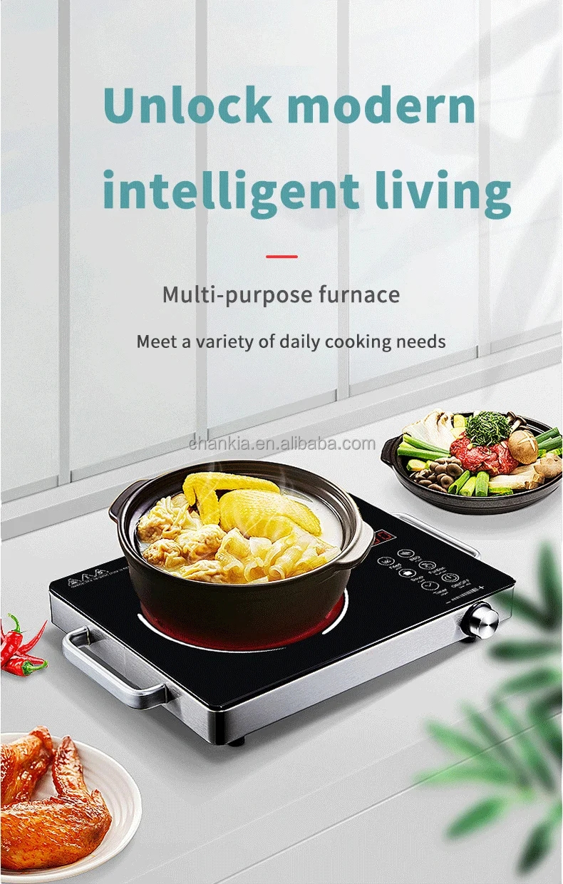 Induction Cooker View 1