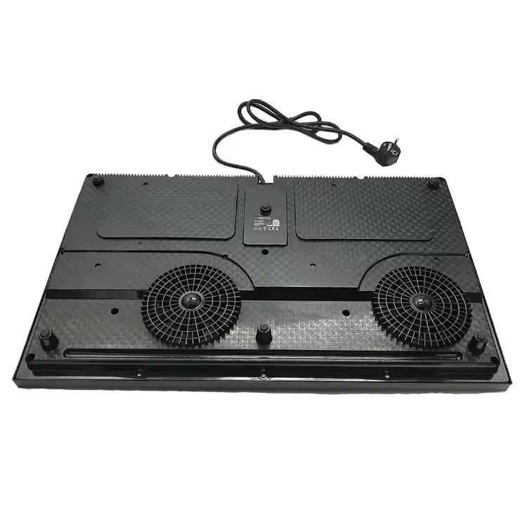 Electric Double-burner Induction Cooker Ceramic Panel High-Power Plastic Housing Waterproof 8-Level Firepower Outdoor Hotel Use