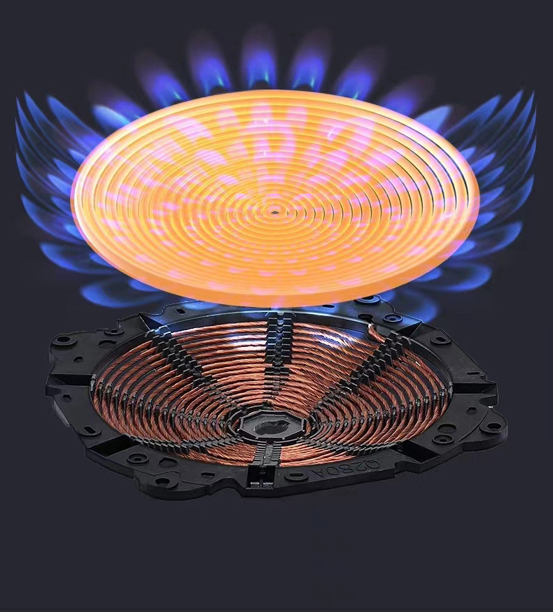 Induction Cooker Detail