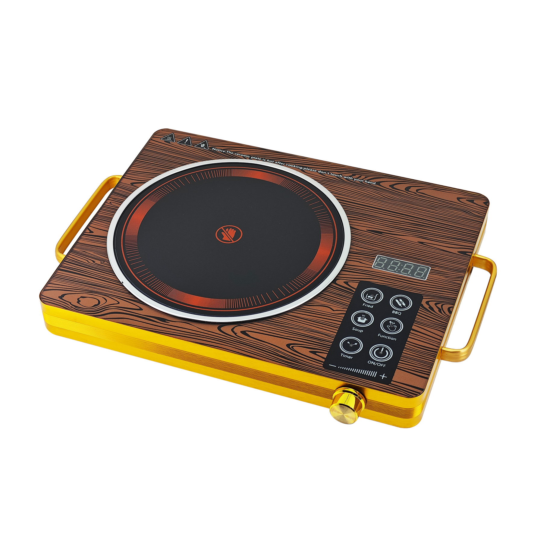 Induction Cooker Detail 1
