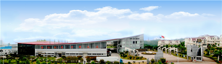 Our Company Showroom