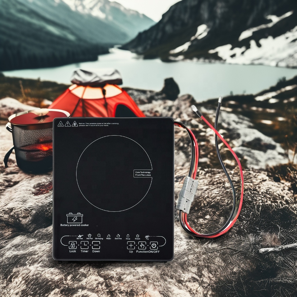 Solar &amp; Battery Powered Portable Single Burner Induction Cooker for Household Use