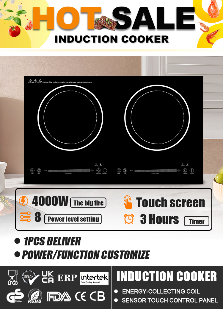 Double Burner Cooktop Panel View