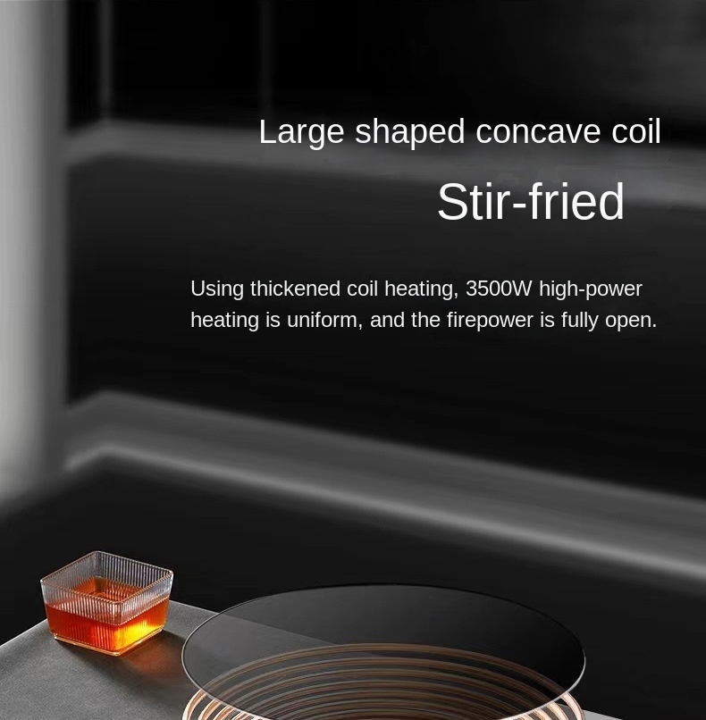 Induction Cooker Showcase 13