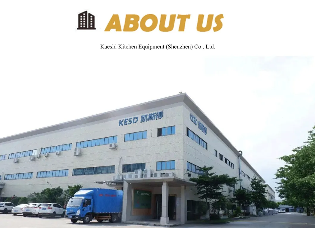 Our Company Professional Presentation