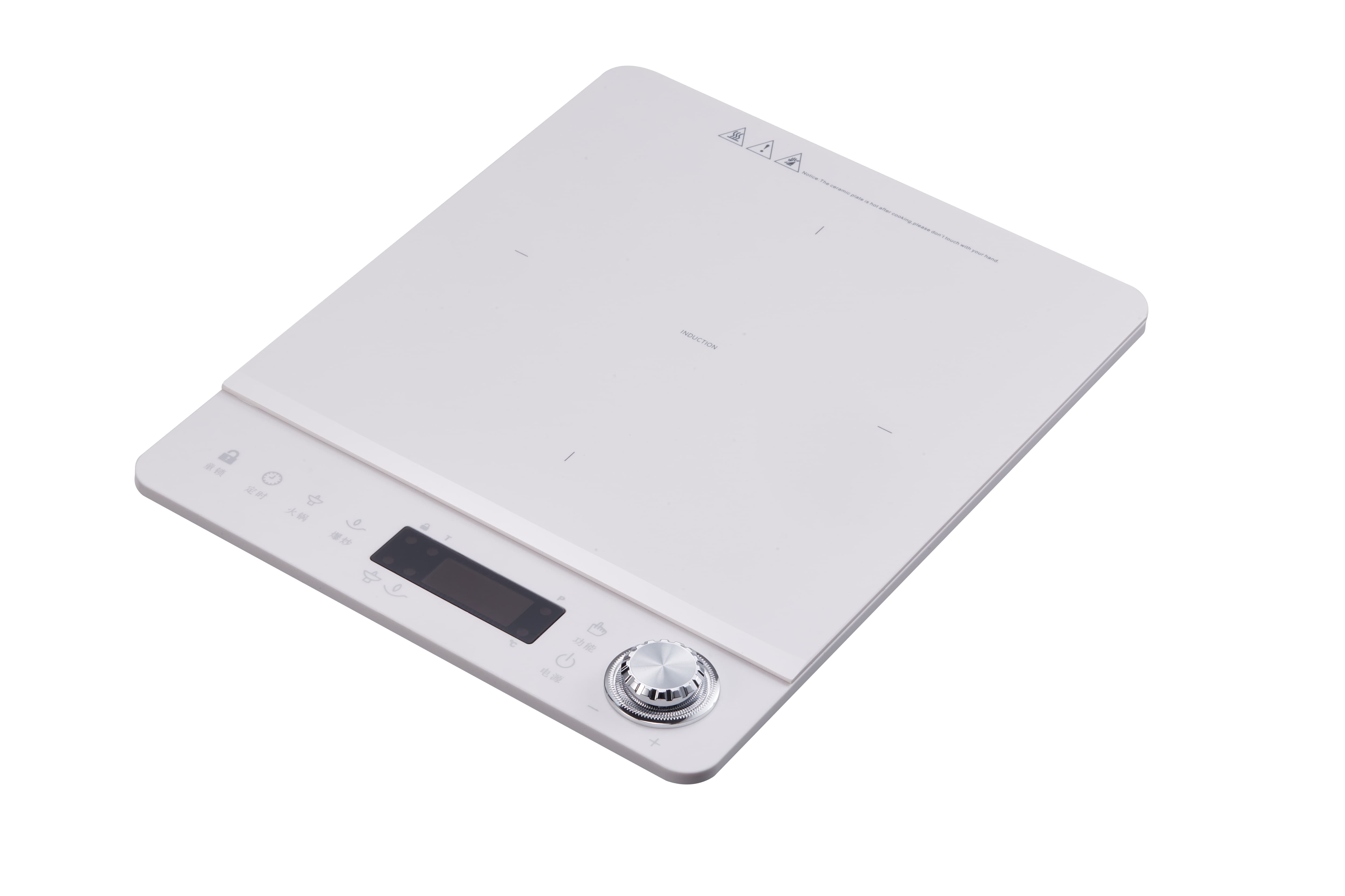 Induction Cooker Detail 3