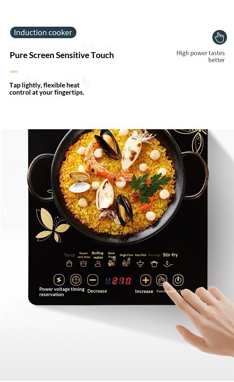 Electric Induction Cooktop Panel Details