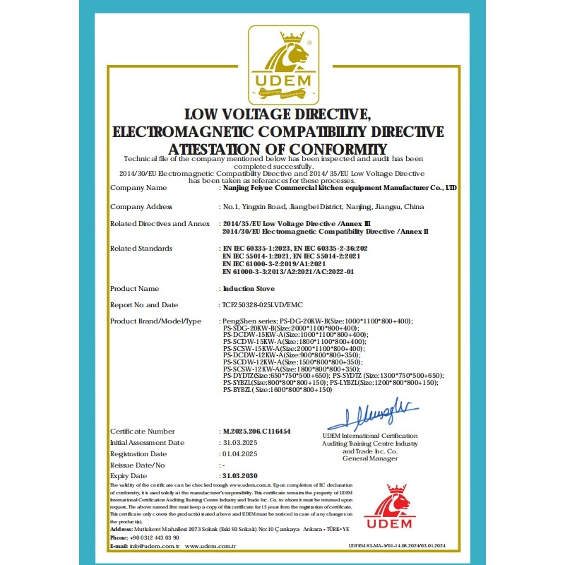 Commercial Dual-Head Electromagnetic Stainless Steel Multifunctional Induction Range